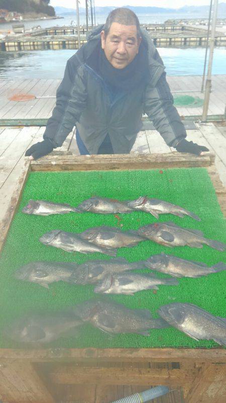 海の釣堀 海恵 釣果