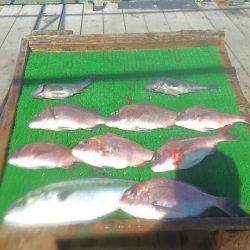 海の釣堀 海恵 釣果