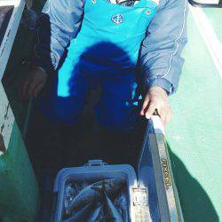 金沢八景鴨下丸 釣果