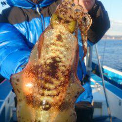 第三共栄丸 釣果