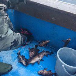 海龍丸（石川） 釣果