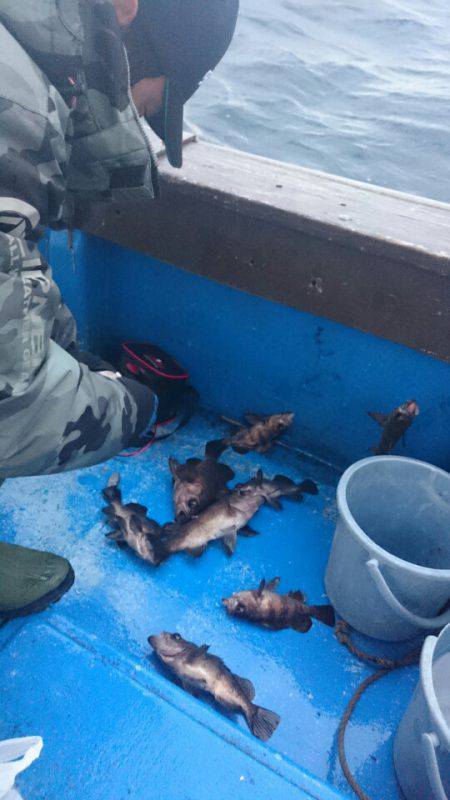 海龍丸（石川） 釣果