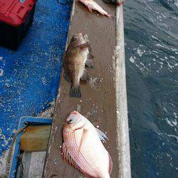海龍丸（石川） 釣果