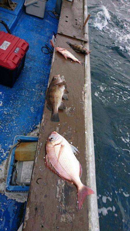 海龍丸（石川） 釣果