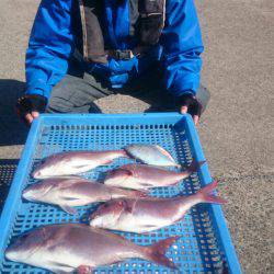 第三共栄丸 釣果