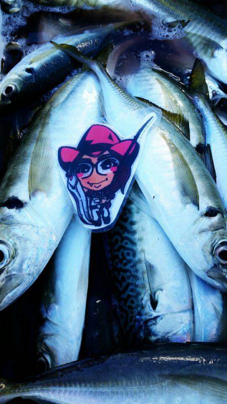 金沢八景鴨下丸 釣果