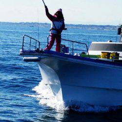 金沢八景鴨下丸 釣果