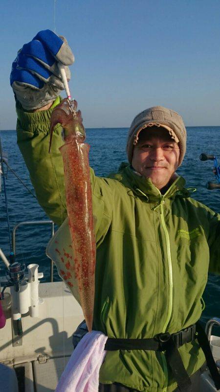 ARCADIAⅡ （アルカディアⅡ） 釣果