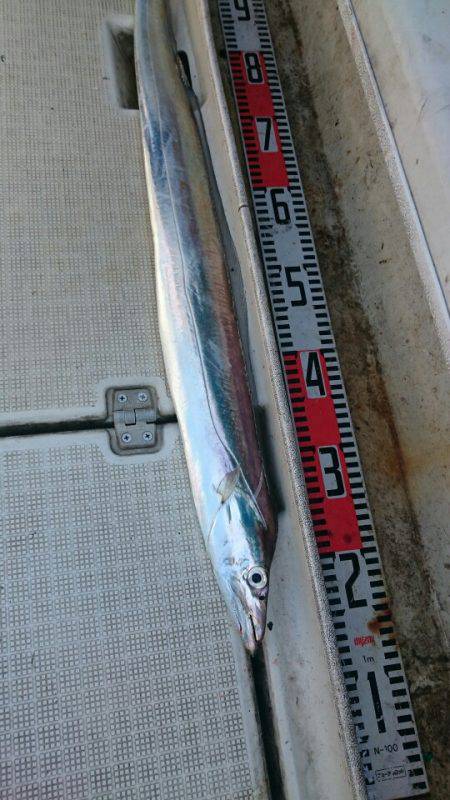 ARCADIAⅡ （アルカディアⅡ） 釣果