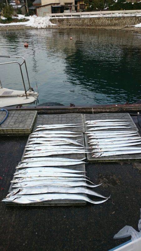 ARCADIAⅡ （アルカディアⅡ） 釣果…