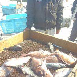 海の釣堀 海恵 釣果