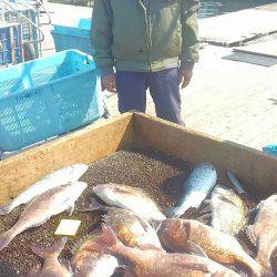 海の釣堀 海恵 釣果