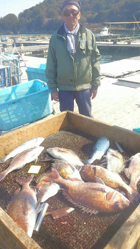 海の釣堀 海恵 釣果