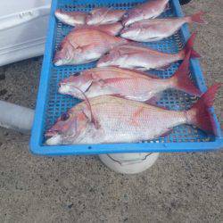 第三共栄丸 釣果