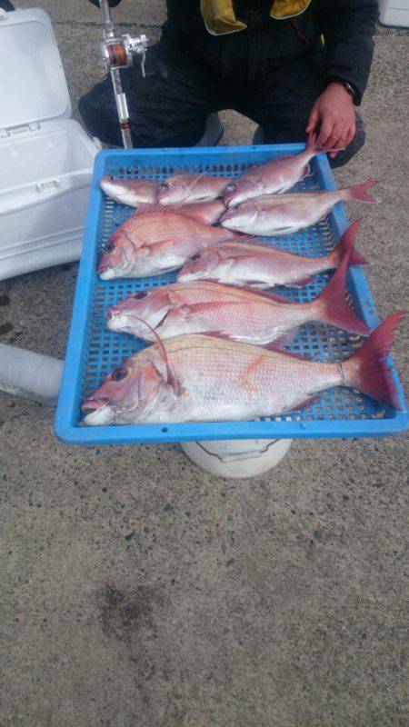 第三共栄丸 釣果