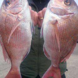 第三共栄丸 釣果