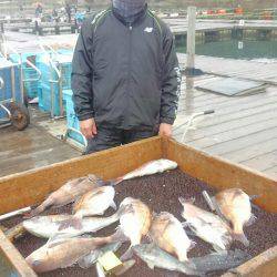 海の釣堀 海恵 釣果