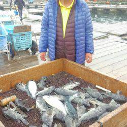 海の釣堀 海恵 釣果