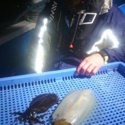 第三共栄丸 釣果