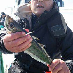 金沢八景鴨下丸 釣果