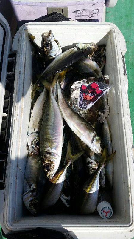 金沢八景鴨下丸 釣果