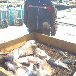 海の釣堀 海恵 釣果