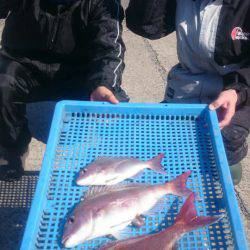 第三共栄丸 釣果