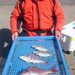 第三共栄丸 釣果