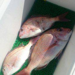 第三共栄丸 釣果