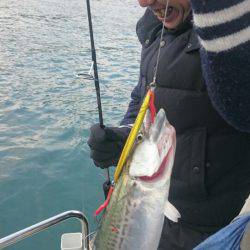 ARCADIAⅡ （アルカディアⅡ） 釣果