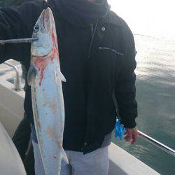 ARCADIAⅡ （アルカディアⅡ） 釣果