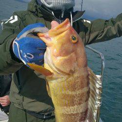 ARCADIAⅡ （アルカディアⅡ） 釣果