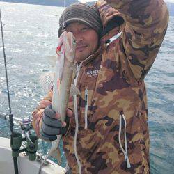 ARCADIAⅡ （アルカディアⅡ） 釣果