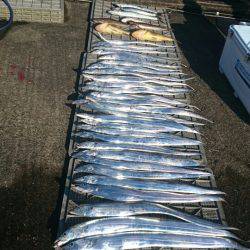 ARCADIAⅡ （アルカディアⅡ） 釣果