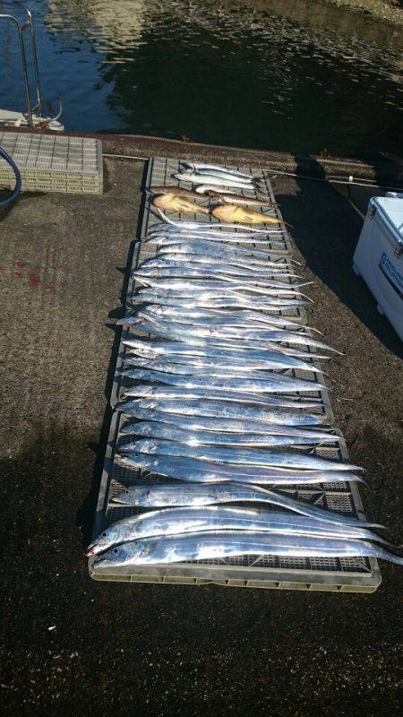 ARCADIAⅡ （アルカディアⅡ） 釣果