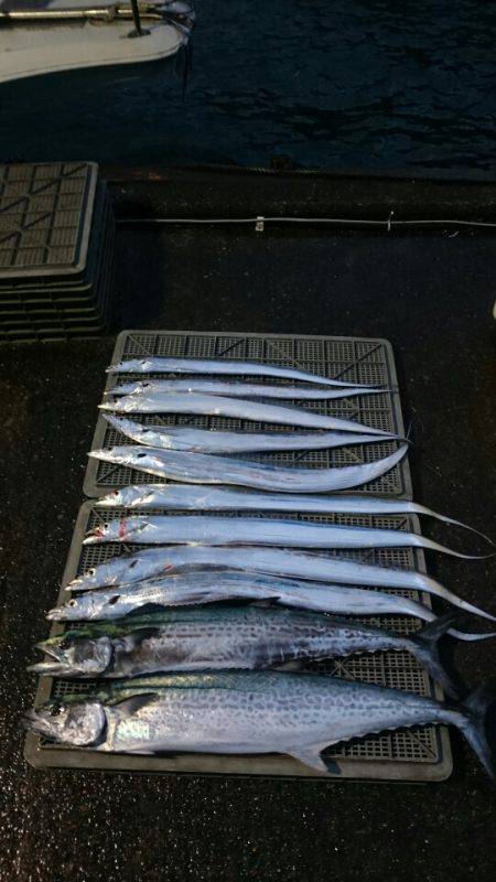 ARCADIAⅡ (アルカディアⅡ) 釣果