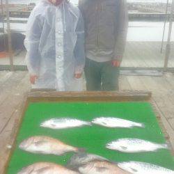 海の釣堀 海恵 釣果