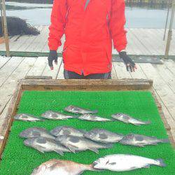 海の釣堀 海恵 釣果