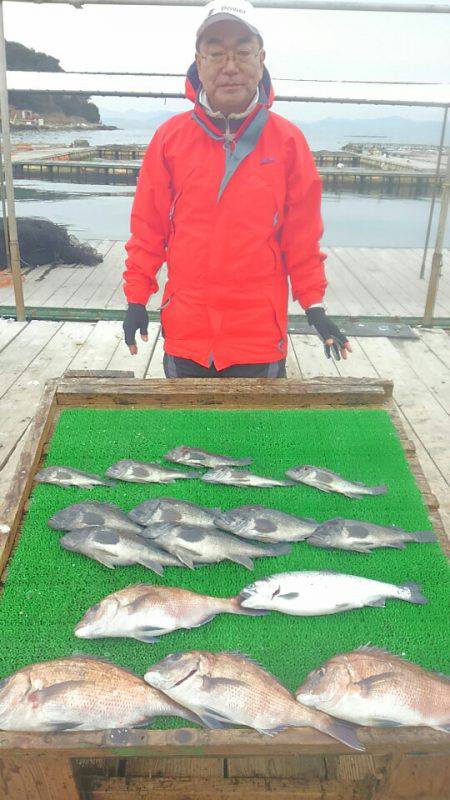 海の釣堀 海恵 釣果