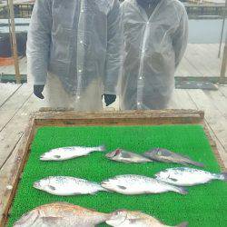 海の釣堀 海恵 釣果