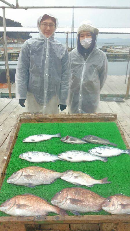 海の釣堀 海恵 釣果