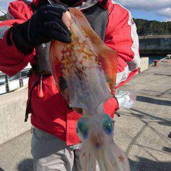 第八大洋丸 釣果