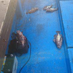 海龍丸（石川） 釣果