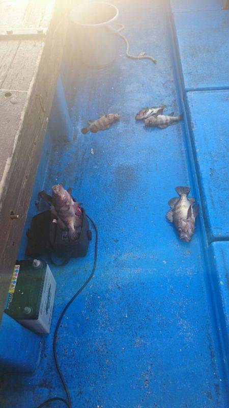 海龍丸（石川） 釣果