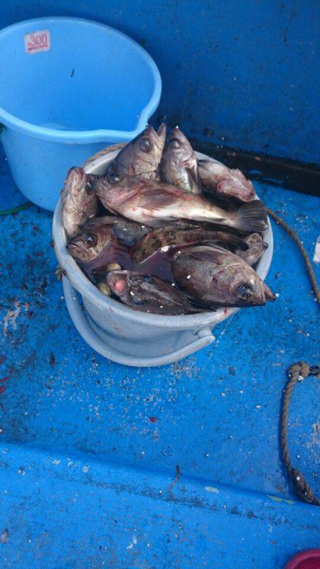 海龍丸（石川） 釣果