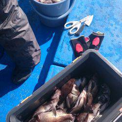 海龍丸（石川） 釣果