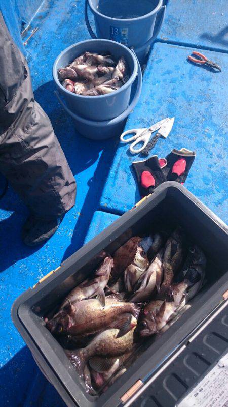 海龍丸（石川） 釣果