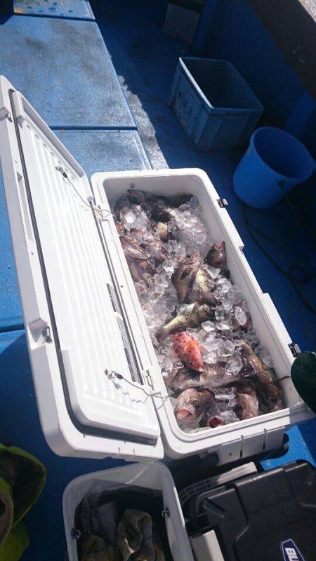 海龍丸（石川） 釣果