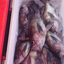 海龍丸（石川） 釣果