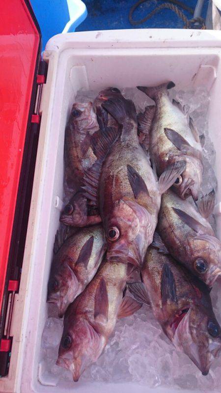 海龍丸（石川） 釣果